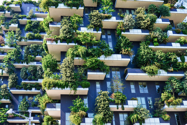 Green Cities - A vision of Tomorrow